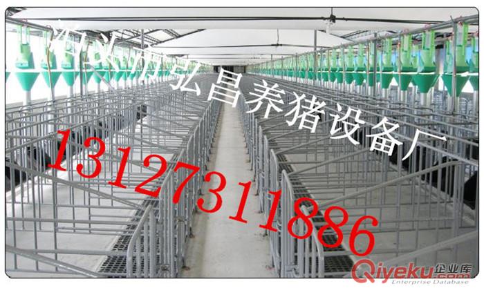 供應自動化喂料線 河北弘昌廠家設計安裝豬場自動采食器 河北養豬自動化控制器