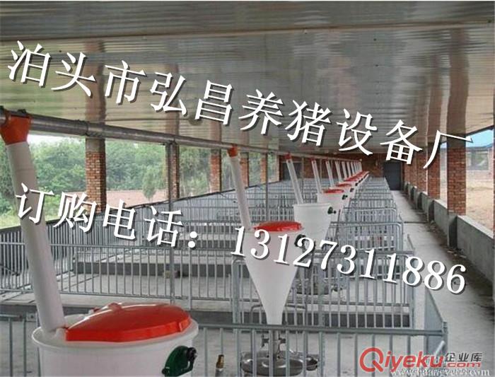 供應自動化喂料線 河北弘昌廠家設計安裝豬場自動采食器 河北養豬自動化控制器