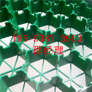 淄博塑料植草格廠家
