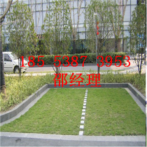 淄博塑料植草格廠家