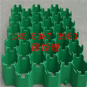 淄博塑料植草格廠家