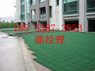 濱州塑料植草格廠家