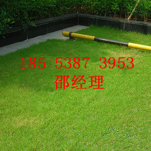 開封熟料植草格廠家