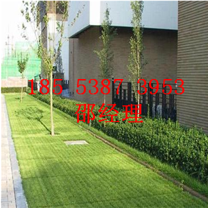 煙臺塑料植草格廠家