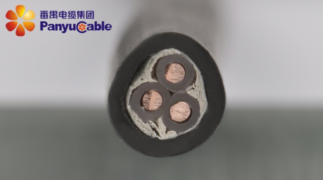 銅芯交聯(lián)乙烯絕緣聚氯乙烯絕緣護套控制電纜原始圖片3
