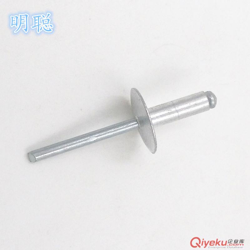 供應(yīng)抽芯拉鉚釘 大帽檐/不銹鋼/多彩/全鐵鉚釘原始圖片2