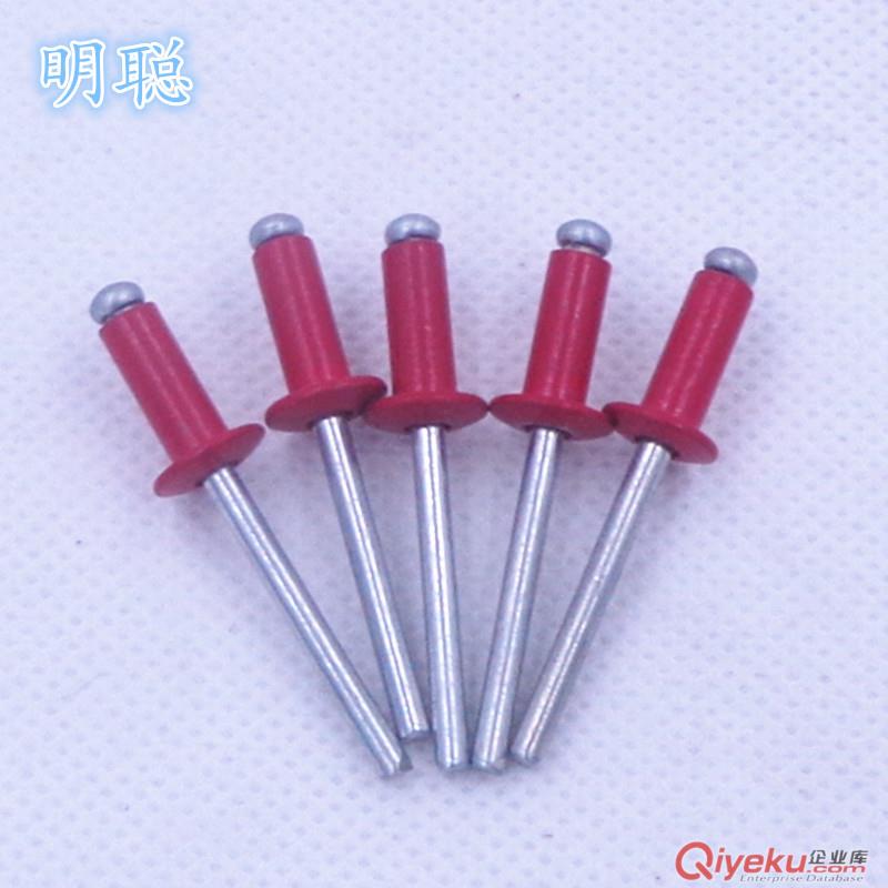 供應(yīng)抽芯拉鉚釘 大帽檐/不銹鋼/多彩/全鐵鉚釘原始圖片3