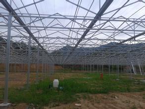 可靠的保溫雞舍建造推薦