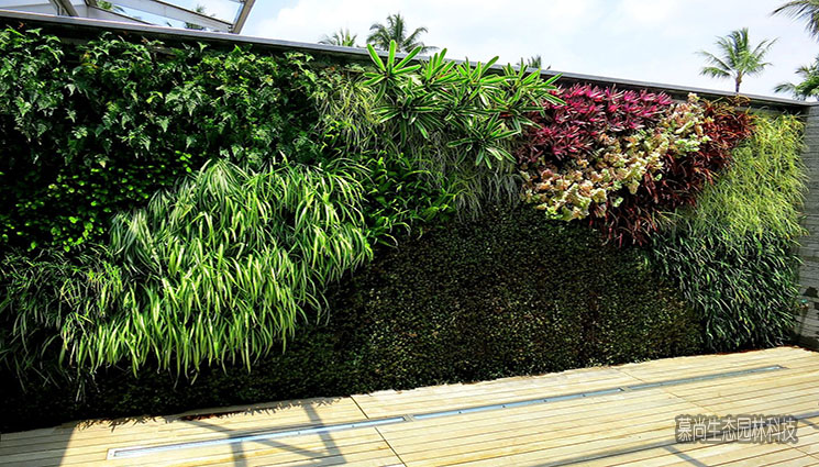 甘肅植物墻 植物墻建造哪里有提供