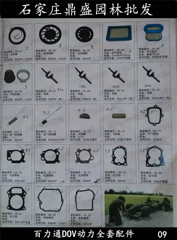 廠家直銷百力通草坪機全套配件_石家莊哪里有供應質量好的草坪機配件