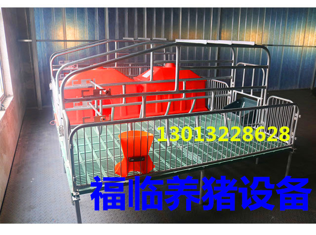 母豬產床 養豬設備器械母豬分娩床仔豬分娩床雙體產床復合產床原始圖片2