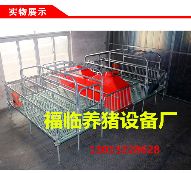 河南鄭州母豬產(chǎn)床和復(fù)合母豬產(chǎn)床廠家在哪里