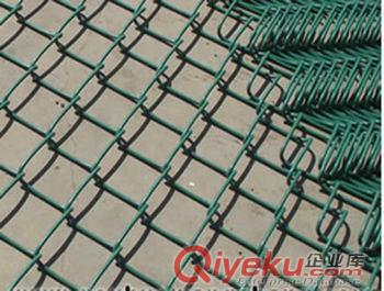 鄭州勾花防護(hù)網(wǎng)價(jià)格周口綠化勾花網(wǎng)-動(dòng)物園圍網(wǎng)-包塑菱形勾花網(wǎng)廠家定做直銷