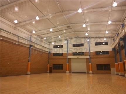睿奧供 浙江進口體育照明廠家 進口體育照明燈具價格查詢
