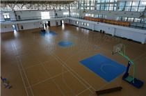 上海進口pvc運動地板廠家直銷 睿奧供pvc運動地板高性價