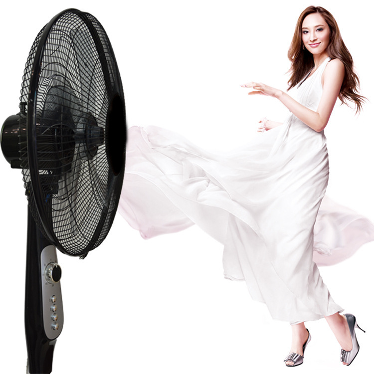 批發(fā)家用熊貓電風(fēng)扇落地扇靜音電風(fēng)扇學(xué)生立式升降定時搖頭電風(fēng)扇原始圖片2