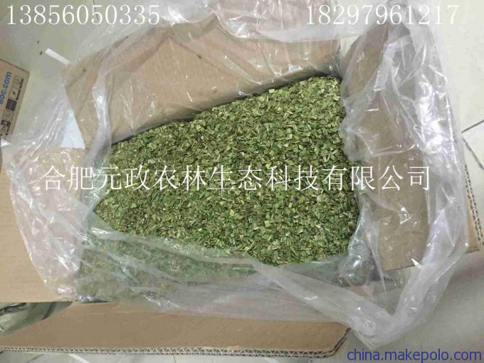 貢菜廠家|元政農林|貢菜專業出口加工原始圖片2