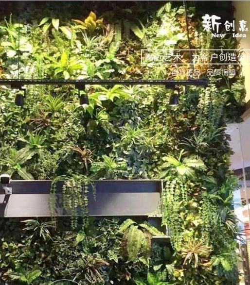 室內美化工藝植物墻 美觀大氣 原始圖片2