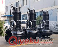 大型污水泵供應(yīng) 潛水污水泵整套原始圖片2