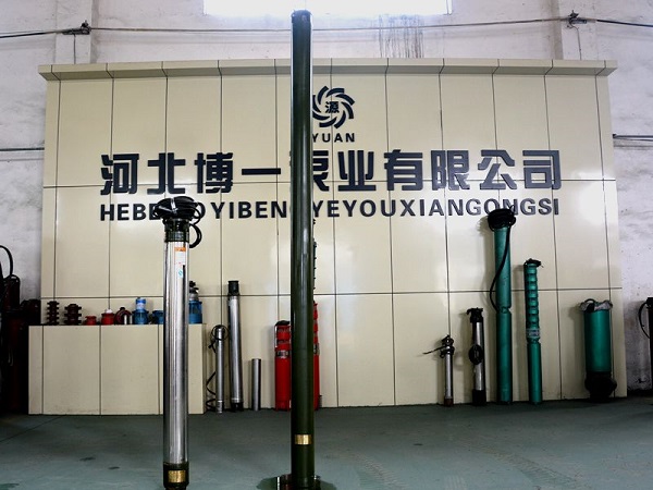 高揚程溫泉專用泵選型及參數(shù) 博一泵業(yè)供應(yīng)價位合理的高揚程潛水泵