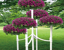供應山東口碑好的花架_藝術花架供應商