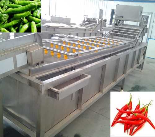 蔬菜清洗機 蔬菜清洗機定制