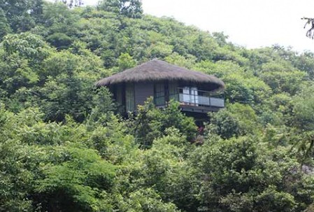 上海戶外交流群-天目山觀大樹王國+漂流+蝴蝶谷溯溪一起嗨