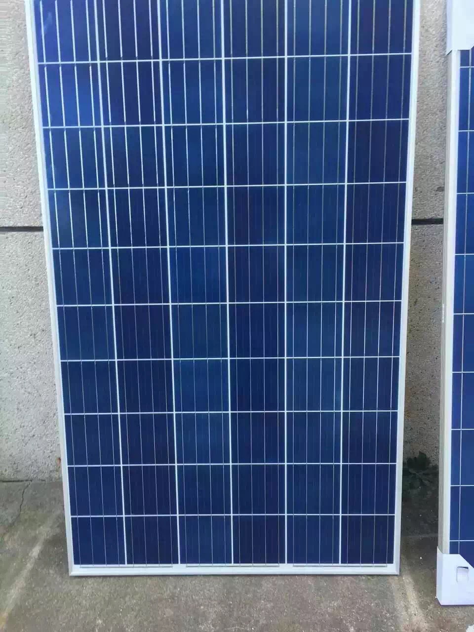 求購多晶太陽能組件（電池板）