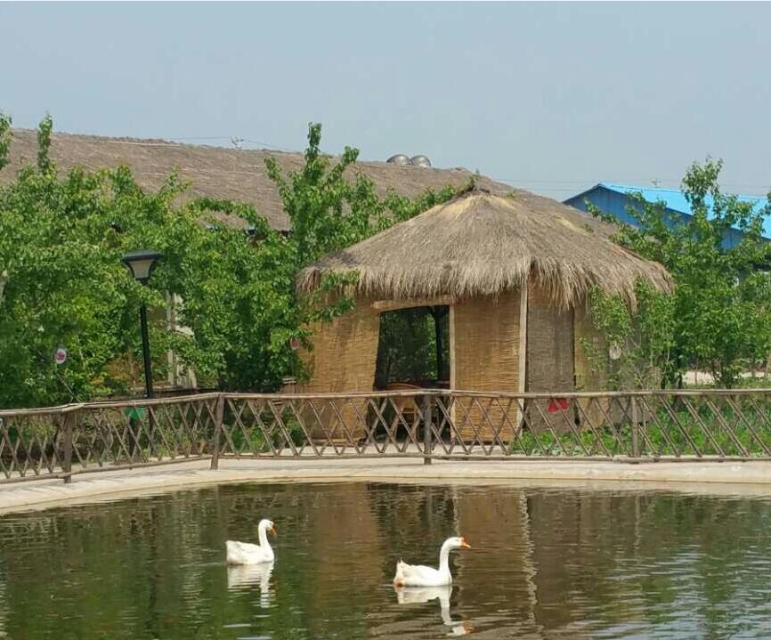 山西土窯雞 河南qw的土窯雞加盟