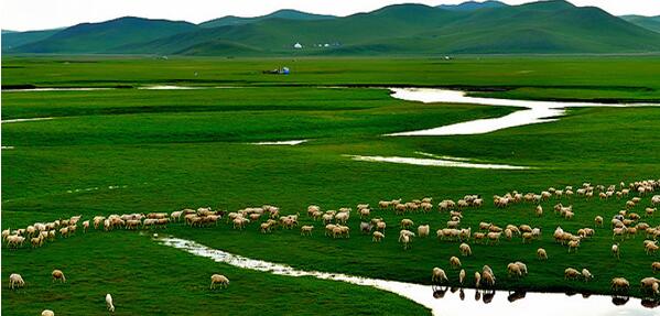 阿榮旗大草原旅游_呼倫貝爾汽車自駕運(yùn)動(dòng)協(xié)會(huì)_周到的呼倫貝爾汽車自駕運(yùn)動(dòng)協(xié)會(huì)公司