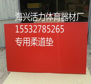 场地垫拼接垫跳高垫定做、跳高垫子高密度空翻垫摔跤垫子柔道垫子