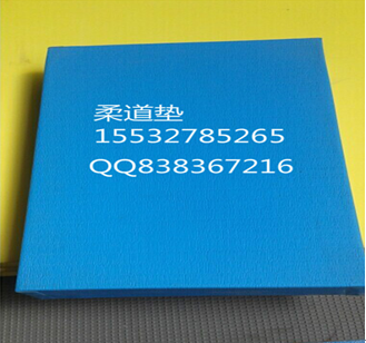 滄州海興活力體育器材廠-體育館/學(xué)校柔道俱樂場(chǎng)館柔道墊專業(yè)運(yùn)動(dòng)墊子生產(chǎn)銷售優(yōu)質(zhì)柔道墊子