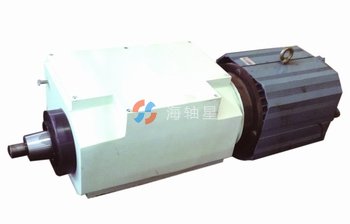 動靜壓電機后置式電主軸