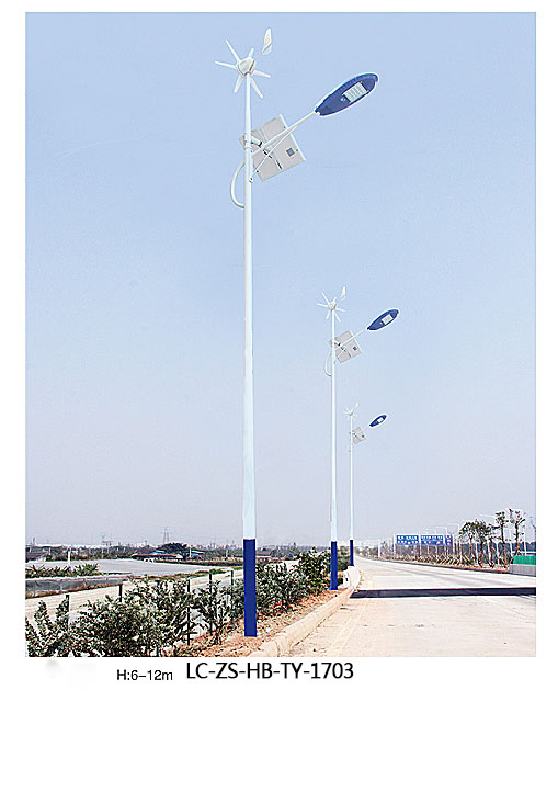 太陽能風(fēng)光互補路燈原始圖片2