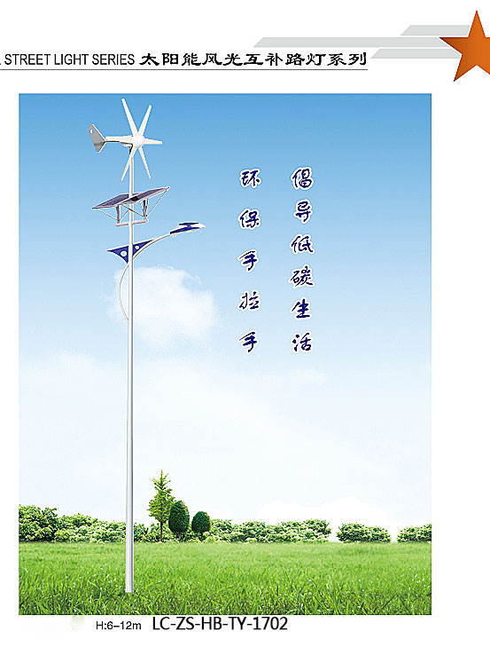 太陽能風(fēng)光互補路燈原始圖片3
