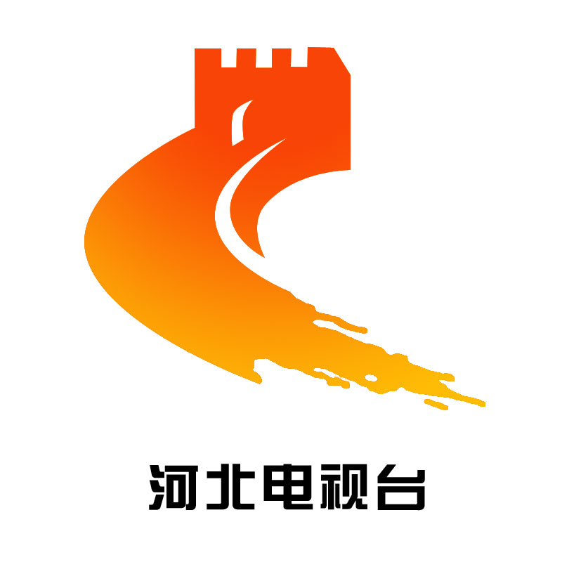 河北電視臺廣告發(fā)布公司哪家好【海王廣告】