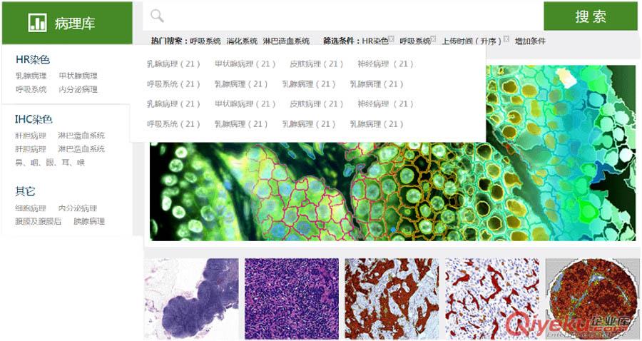 病理圖像細(xì)胞分析技術(shù)