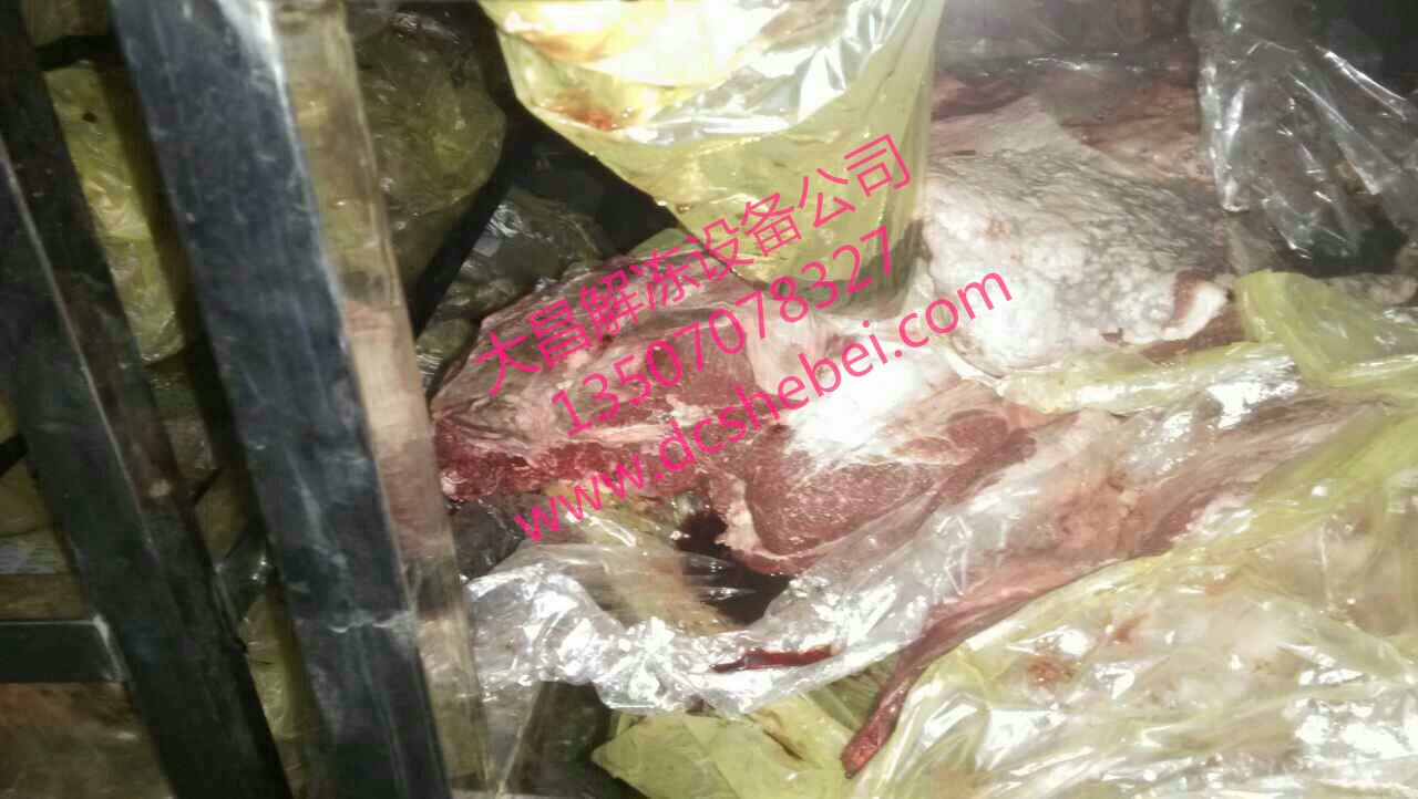 豬肉解凍機，豬肉解凍機價格，豬肉解凍機報價