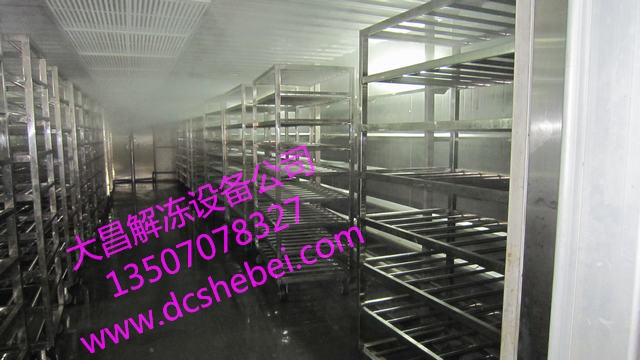 解凍機(jī)生產(chǎn)廠(chǎng)家，雞肉解凍機(jī)，鴨肉解凍機(jī)原始圖片2