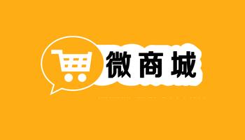 廣西網(wǎng)絡(luò)銷售  網(wǎng)站建設(shè)推廣   微商城