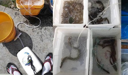 生物厭氧濾罐